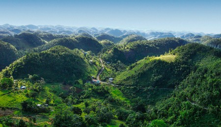 Jamaica Blue Mountain